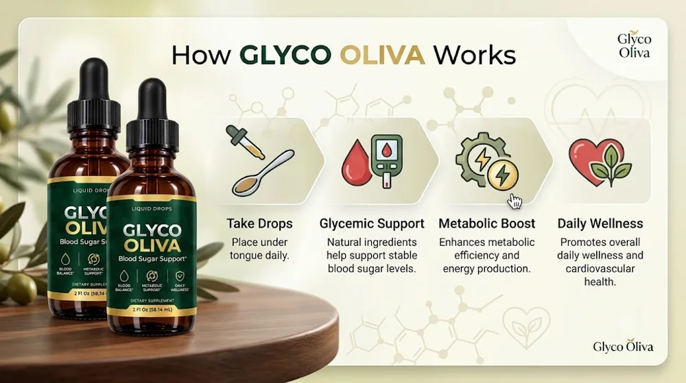 How GlycoOliva works: daily support for healthy glucose balance